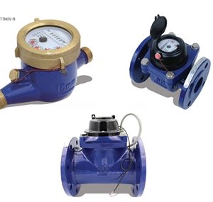 TTBM Removable Element Bulk Water Meter
